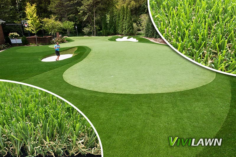 Vivilawn-Golf-Grass-D25318-BG8B8
