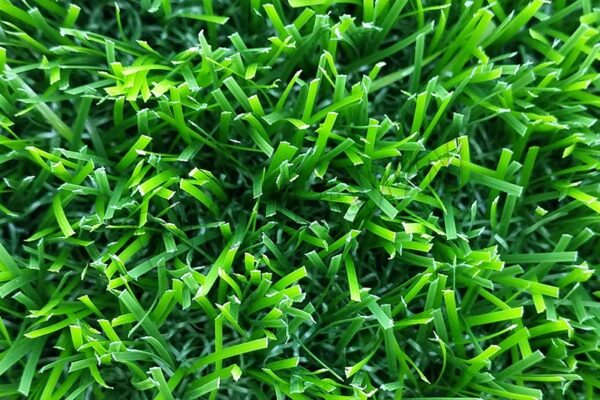 Vivilawn-P35318-AL8A8-Fake-Synthetic-Grass-Turf-Carpet-for-Outdoor-Indoor-Residential-Balcony-Artificial-Turf-feature-3