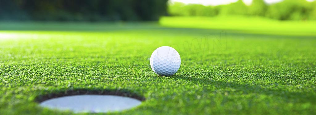 Vivilawn-Tech-Data-Golf-Putting